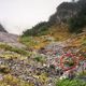 Image for article titled See If You Can Spot The Camouflaged Snipers In These Pictures